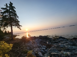 LT Aldo "The Apache" Raine