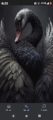 BlacSwan