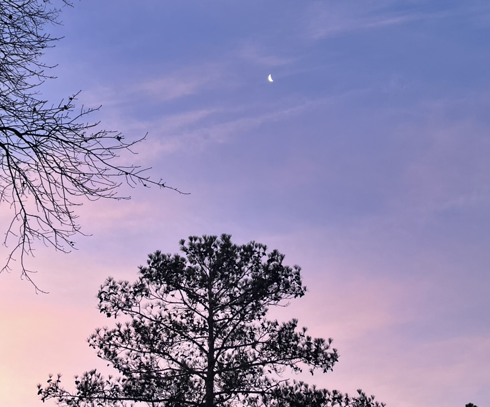 Skywatcher69