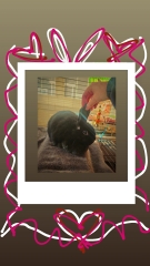 Esther
