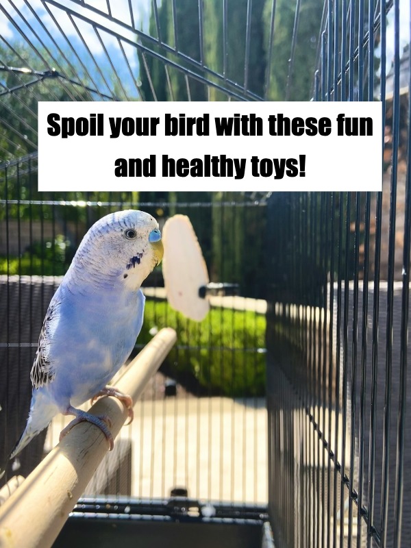 These Bird Toys Will Have Your Feathered Friend Hooked! 🦜