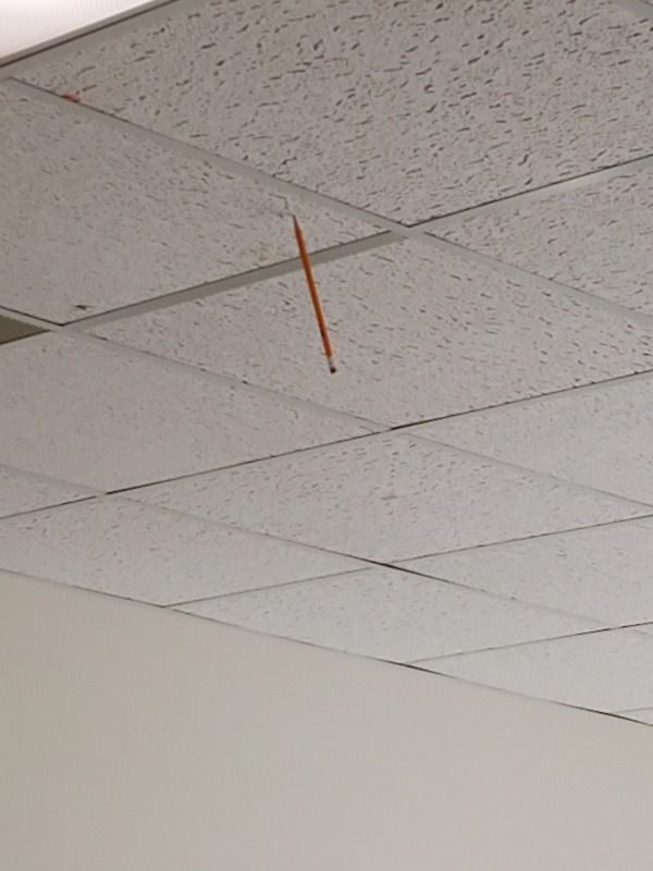 ceiling pencils were childhood fame