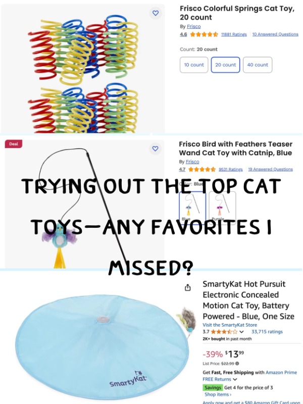 Is this the ultimate cat toy lineup?
