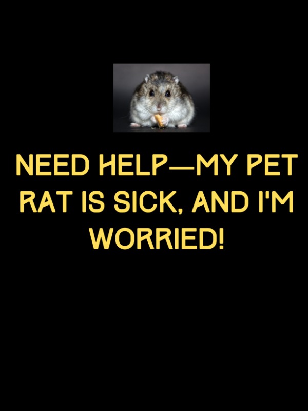 Why is my pet rat lying still with weird eye/nose fluid?