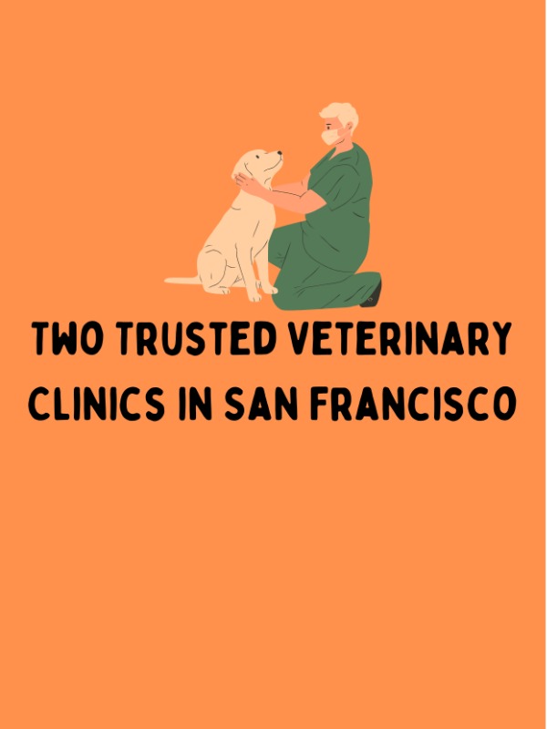 Pet Hospital Experience in San Francisco 