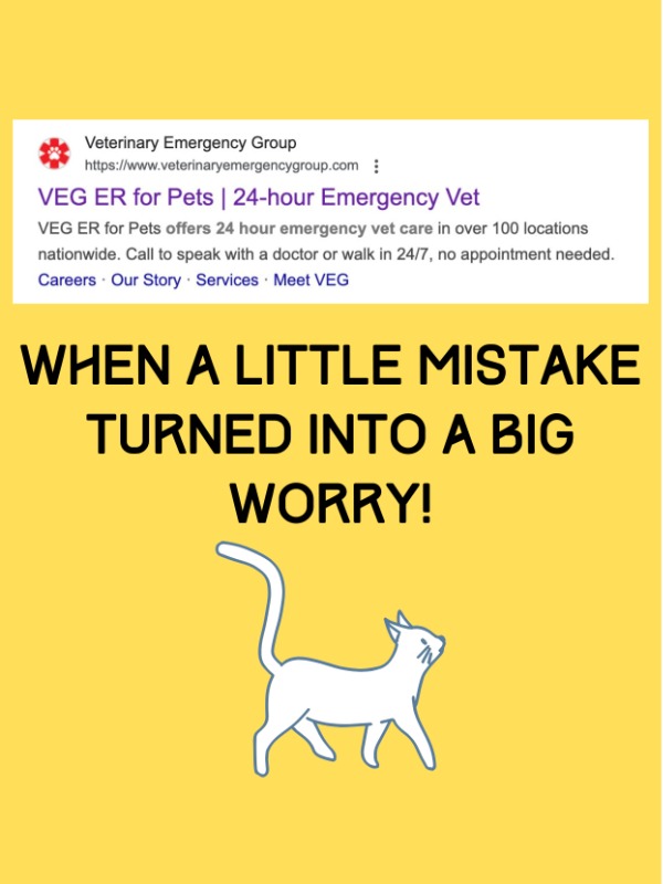 My cat’s first emergency visit! Should I have waited?