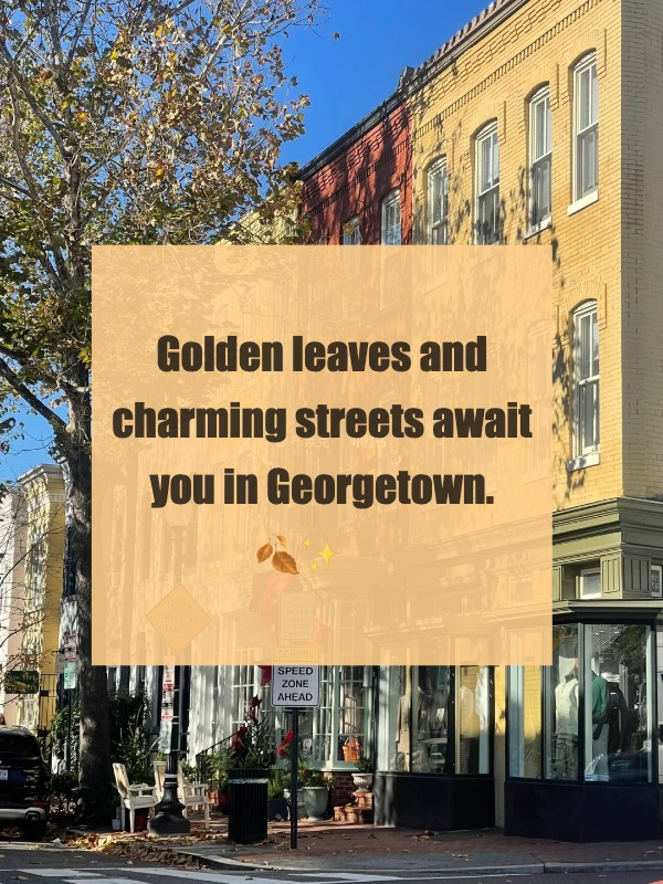 Georgetown Bliss: A Glimpse into Pure Happiness