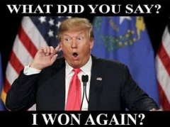Maga Ohio