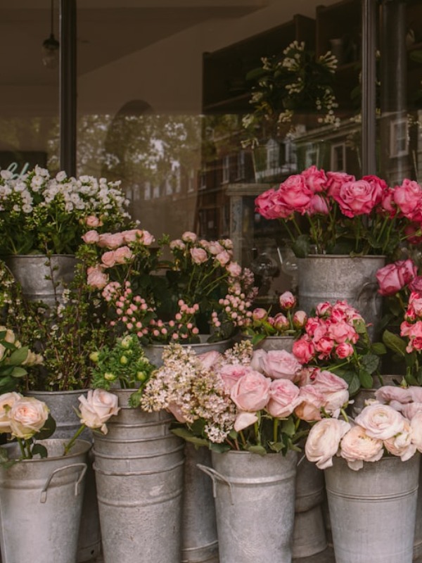 8 Stunning Plants Everyone Has in Their Yard—Do You? 🌿🌸