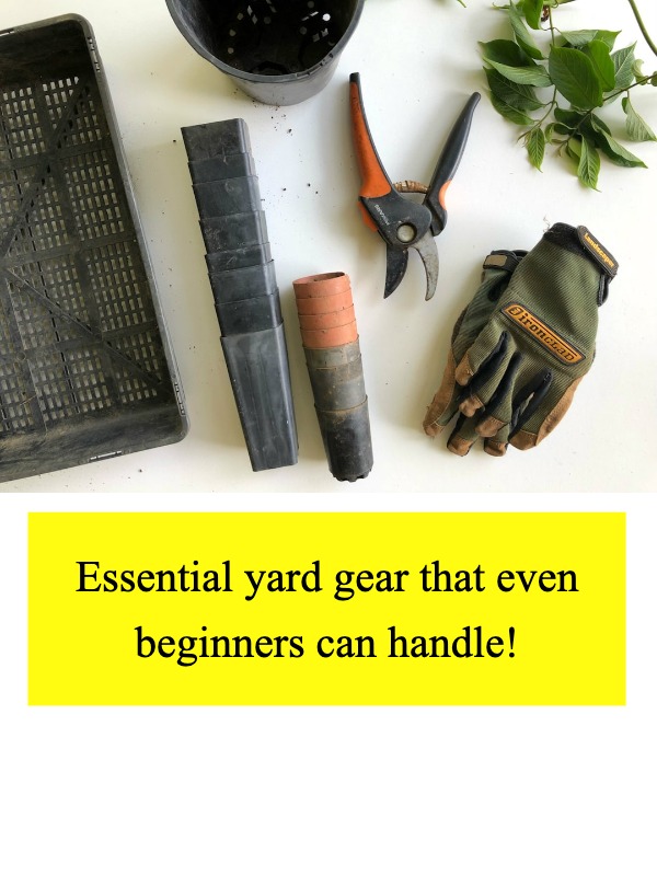 The backyard tools that changed my life—what’s missing? 🛠️🌿