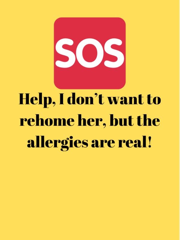 What to Do When You’re Allergic to Your Own Cat? 😿😩
