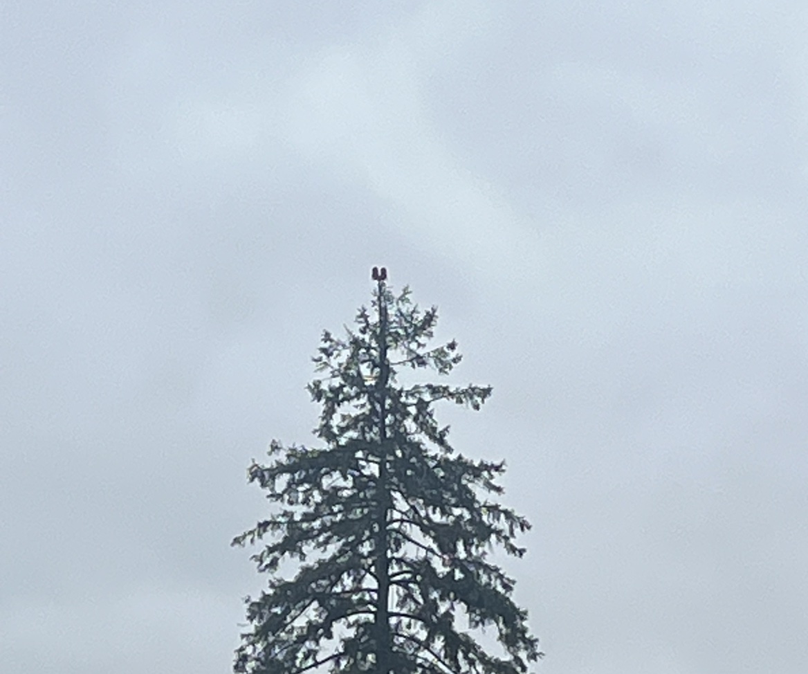 reading@all@of@the@shit