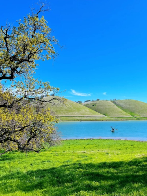  Is this the chillest Bay Area hike with views?