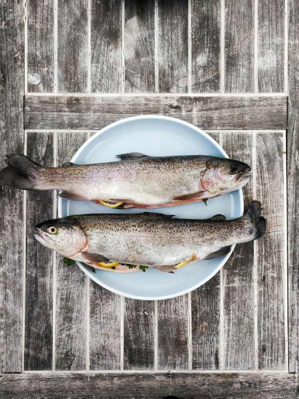 how to cook trout like a pro 🐟