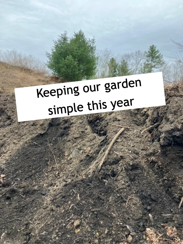  Is free soil from the dump actually worth the trip? 🚗🪴