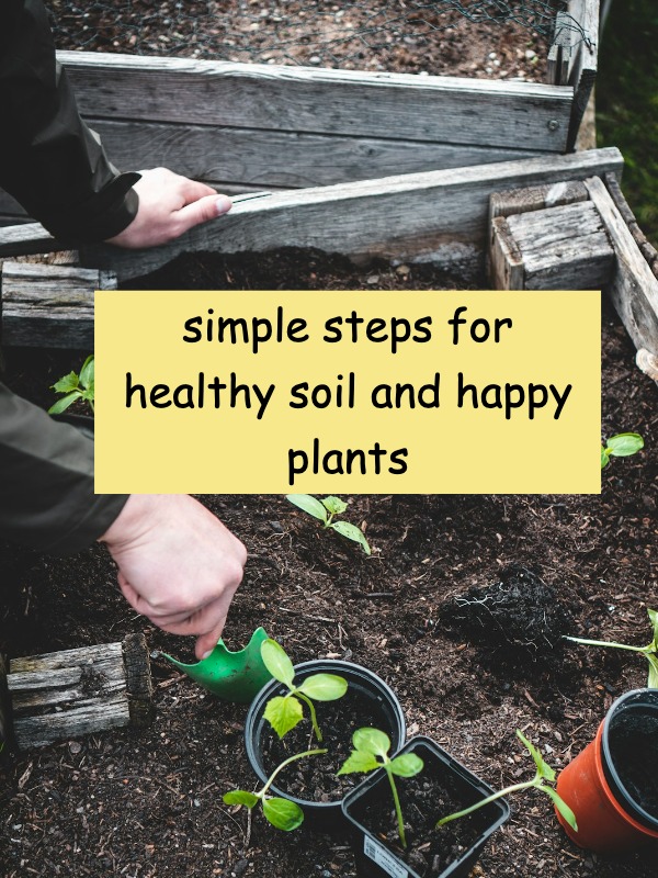 Want your plants to thrive? start with soil prep! 🌱