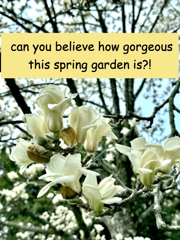 My weekend escapes to Morris Arboretum have been a dream!