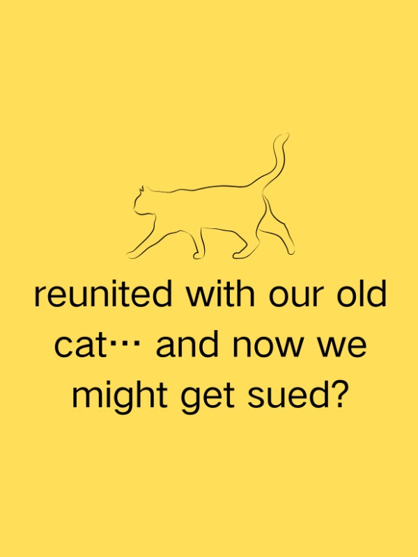 Found our cat after 2 years—but whose cat is it now??