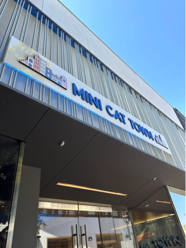 there's a cat coffee at Stanford Shopping Center?! thoughts?