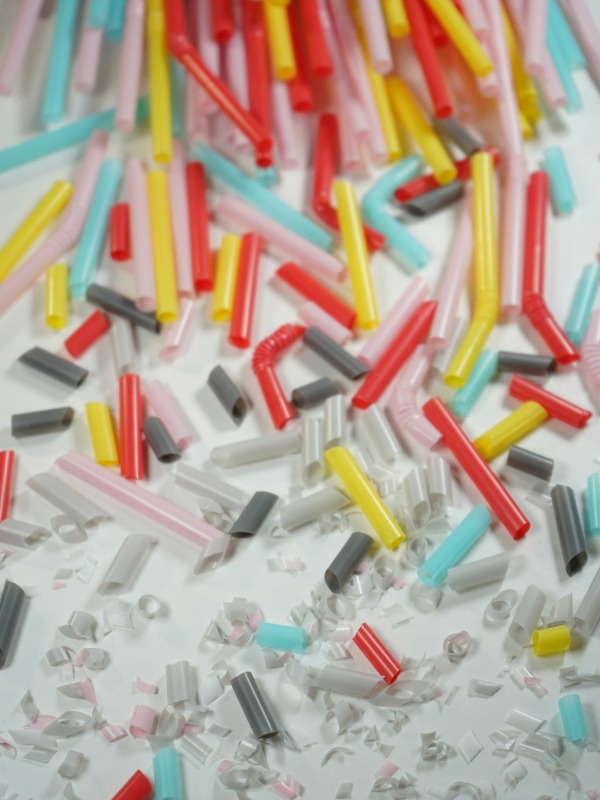 did i just eat microplastics?