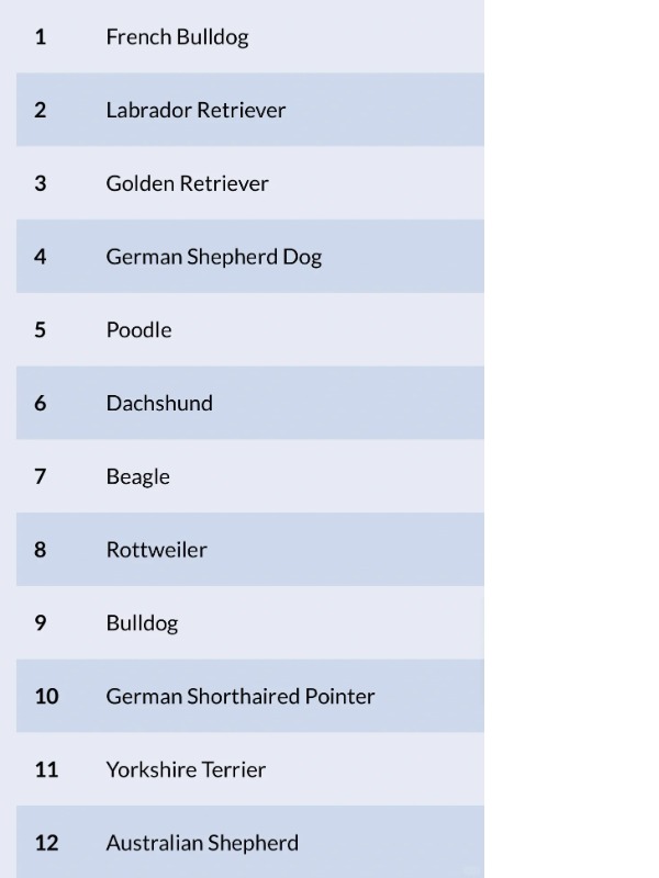 frenchies rule the charts—but who’s that at #53??