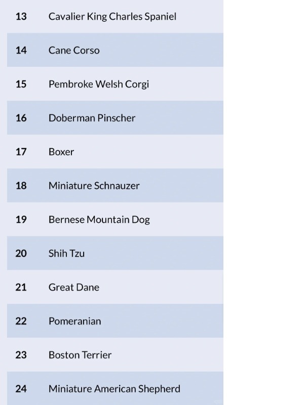 frenchies rule the charts—but who’s that at #53??