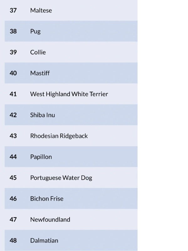 frenchies rule the charts—but who’s that at #53??