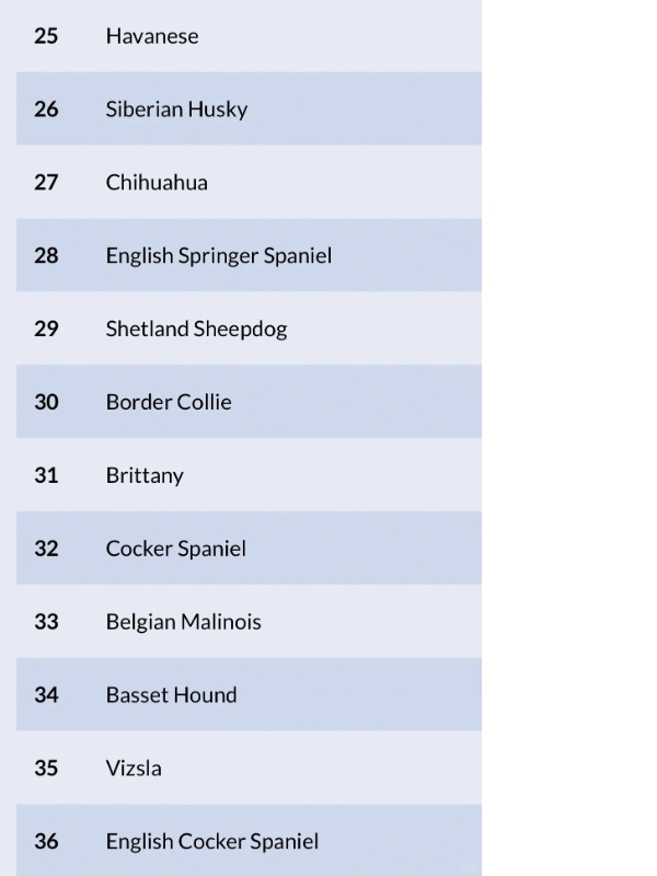 frenchies rule the charts—but who’s that at #53??
