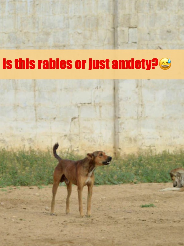 rabies fear got me like 😰—anyone else?