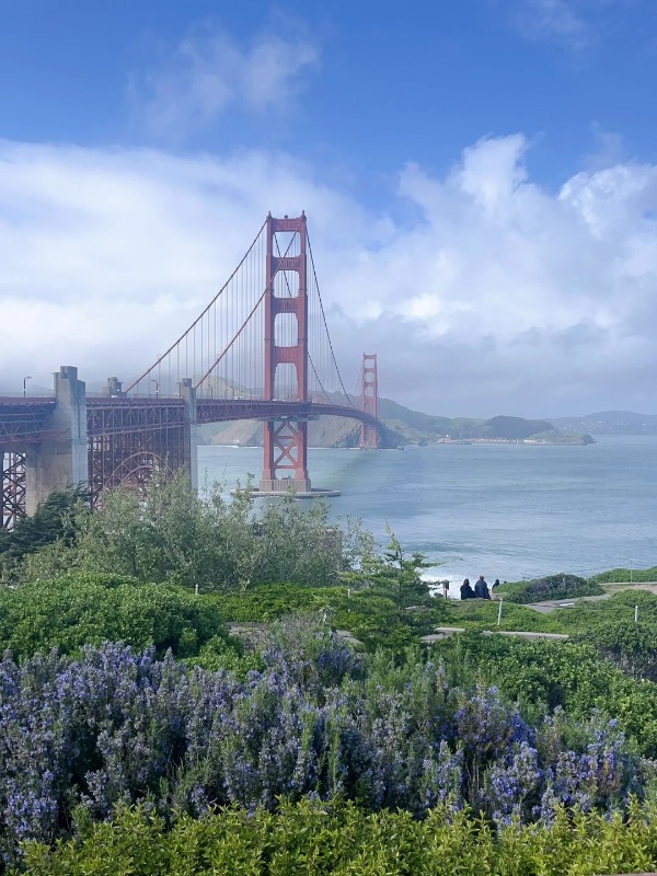 only 24hrs in sf, saw sea lions, rain & a legend??