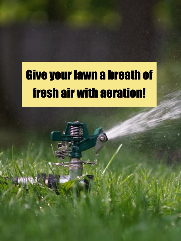 spring aeration for your lawn​