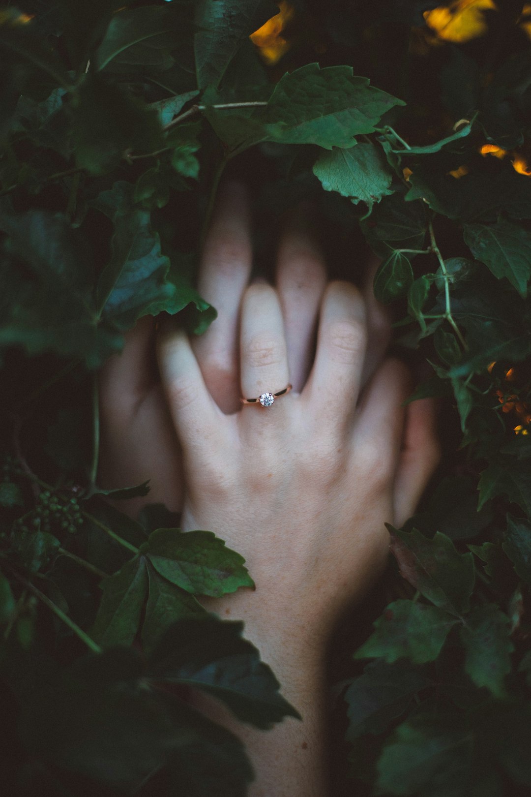 Caught Between Love and Loyalty