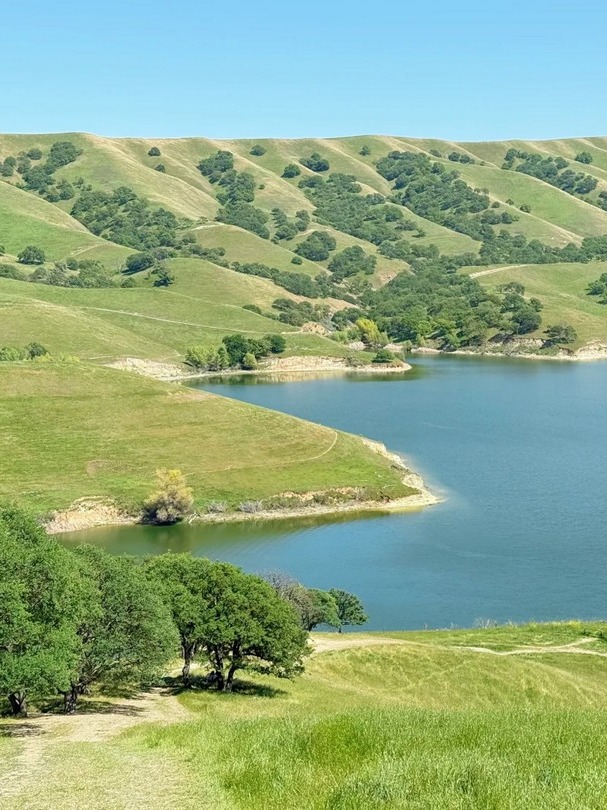 did spring just turn cali into a green wonderland??