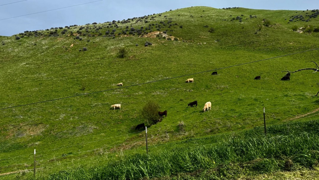 felt like i hiked straight into a prairie postcard
