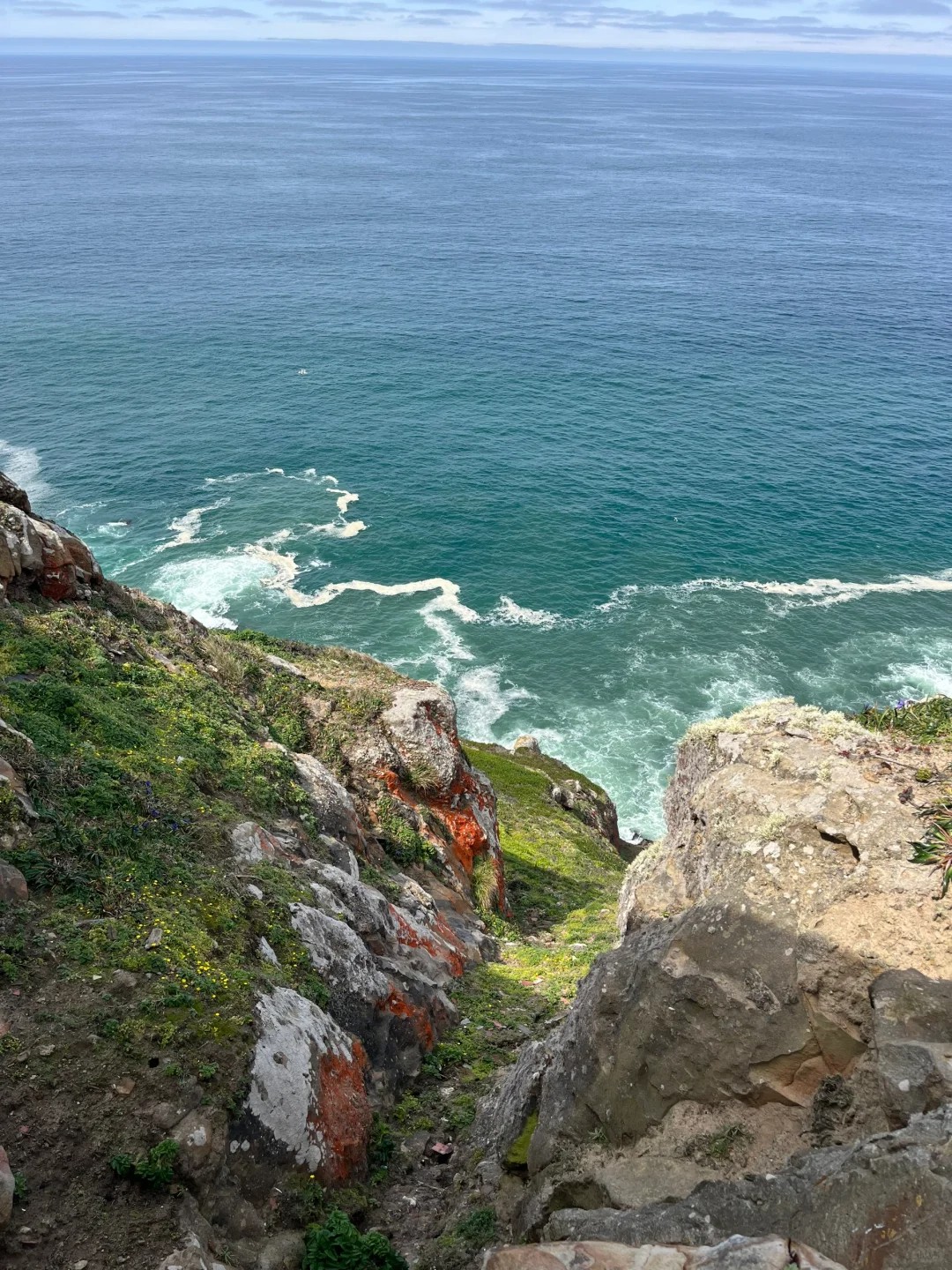 2.5hr drive for cliffs, sea lions, & wildflowers??