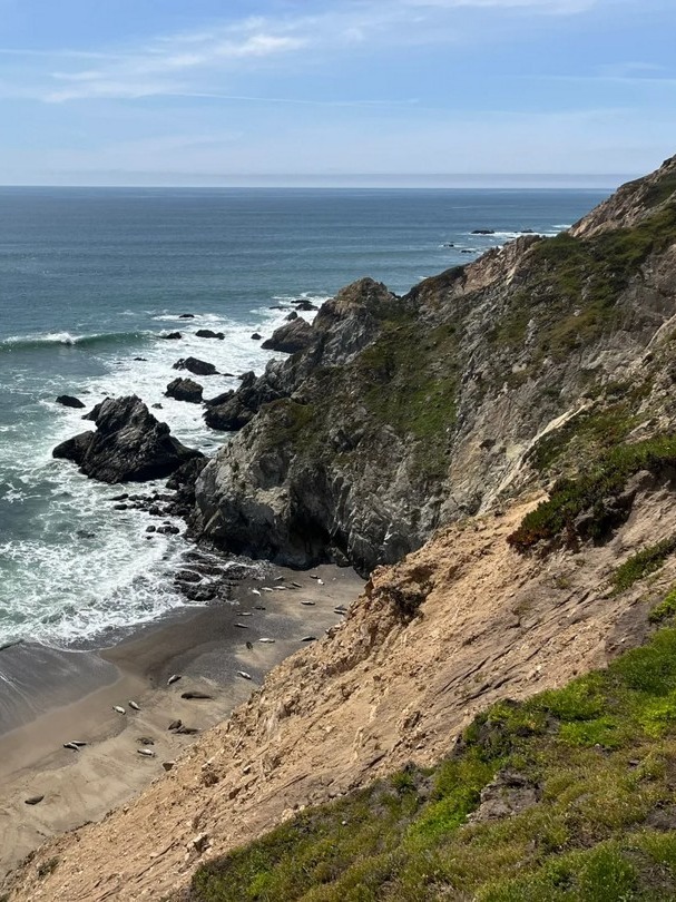 2.5hr drive for cliffs, sea lions, & wildflowers??
