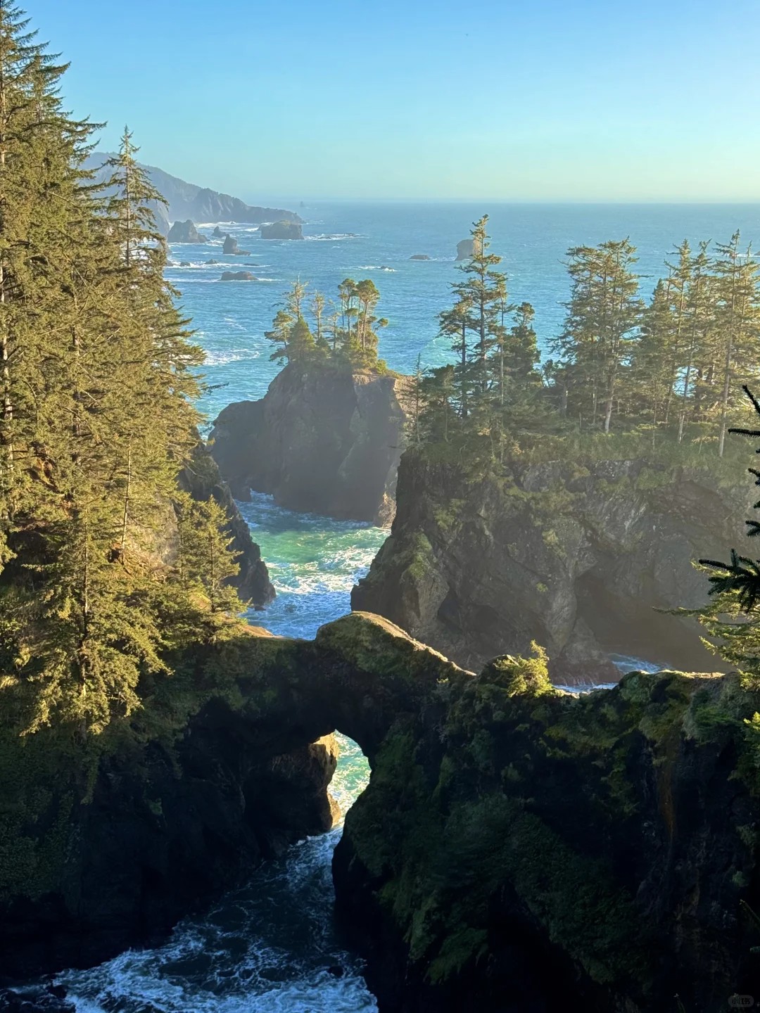 Oregon’s spring hiking spots: waterfalls, cliffs, and more?