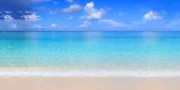 Snarky Beach