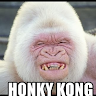 Honky Kong