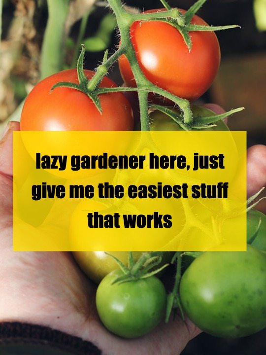lazy gardener here, just give me the easiest stuff that works
