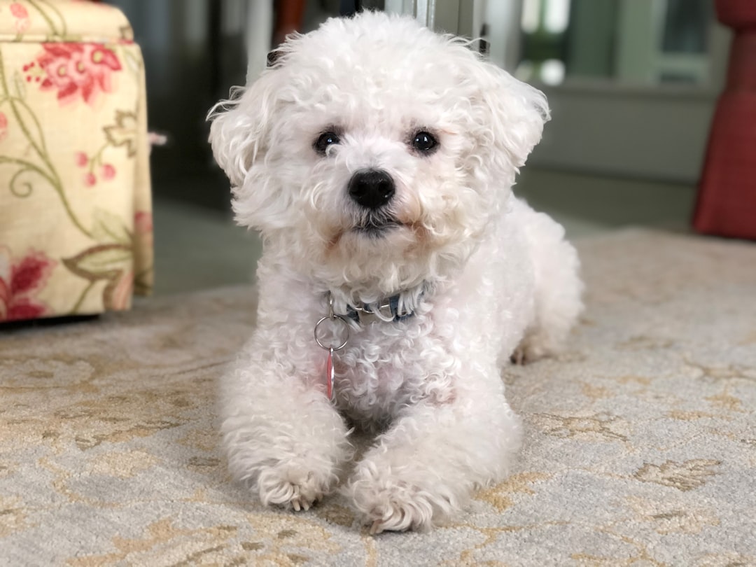 from jealous fluffballs to giant cuddle bugs—who tops the list?