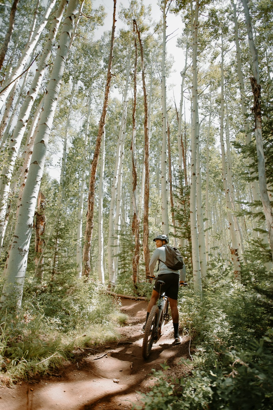 Nothing Burns Like Cycling