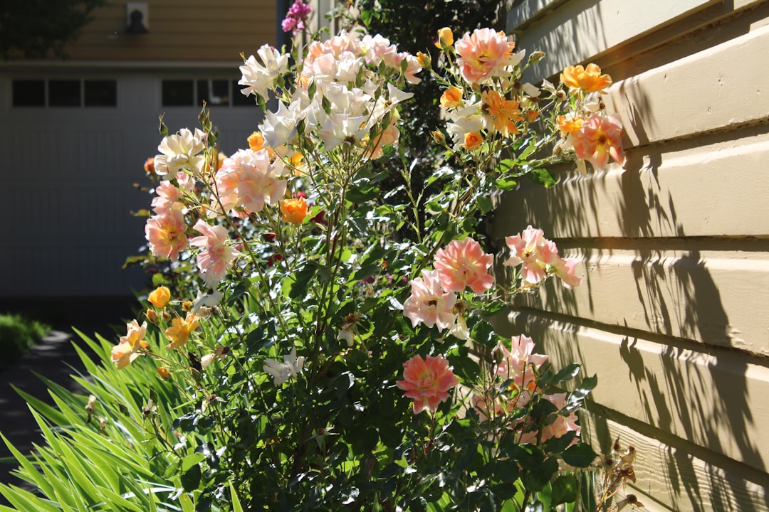 Transform Your Yard Into a Floral Oasis!