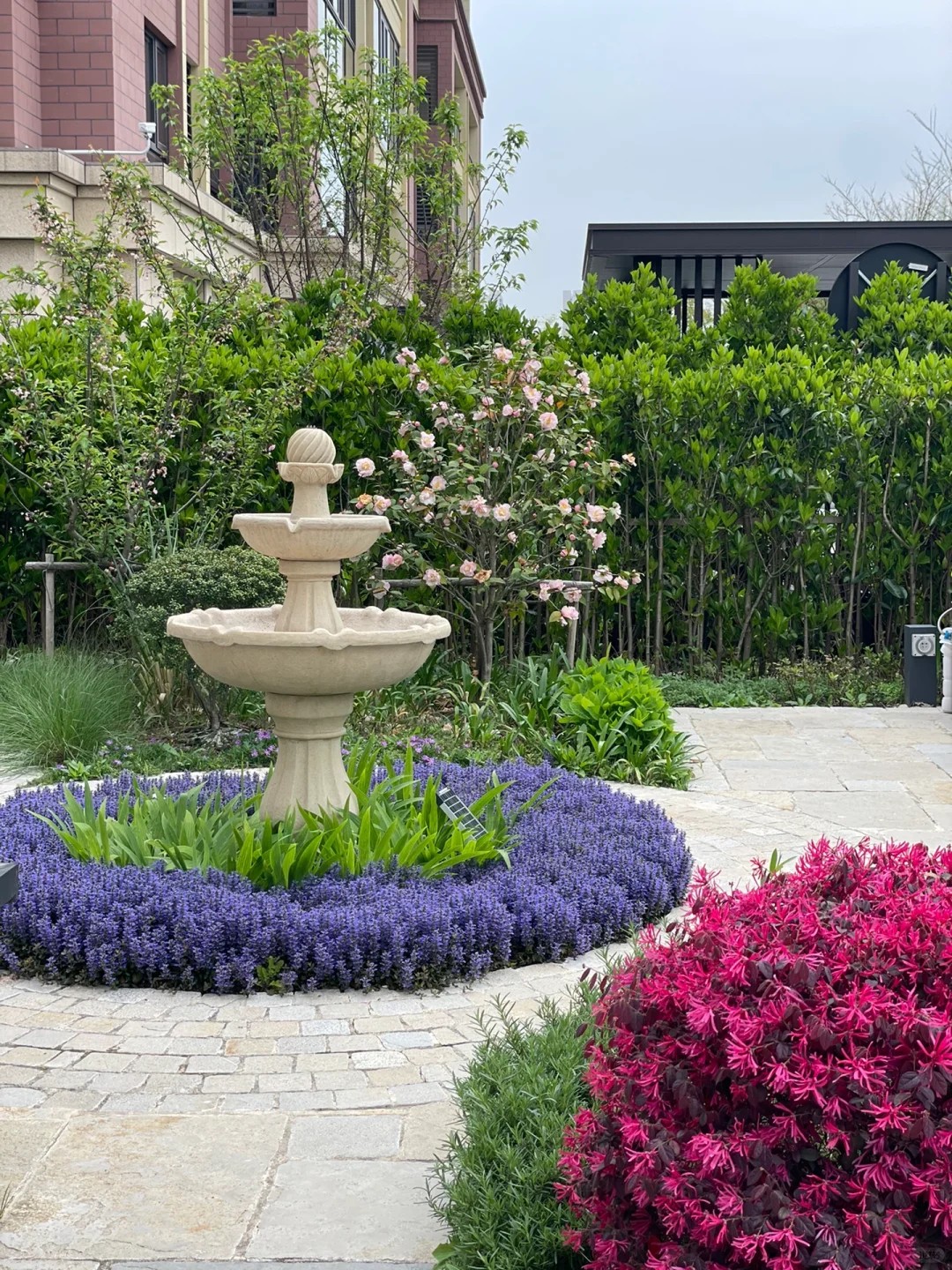 Transform Your Home into a Lush Oasis Today
