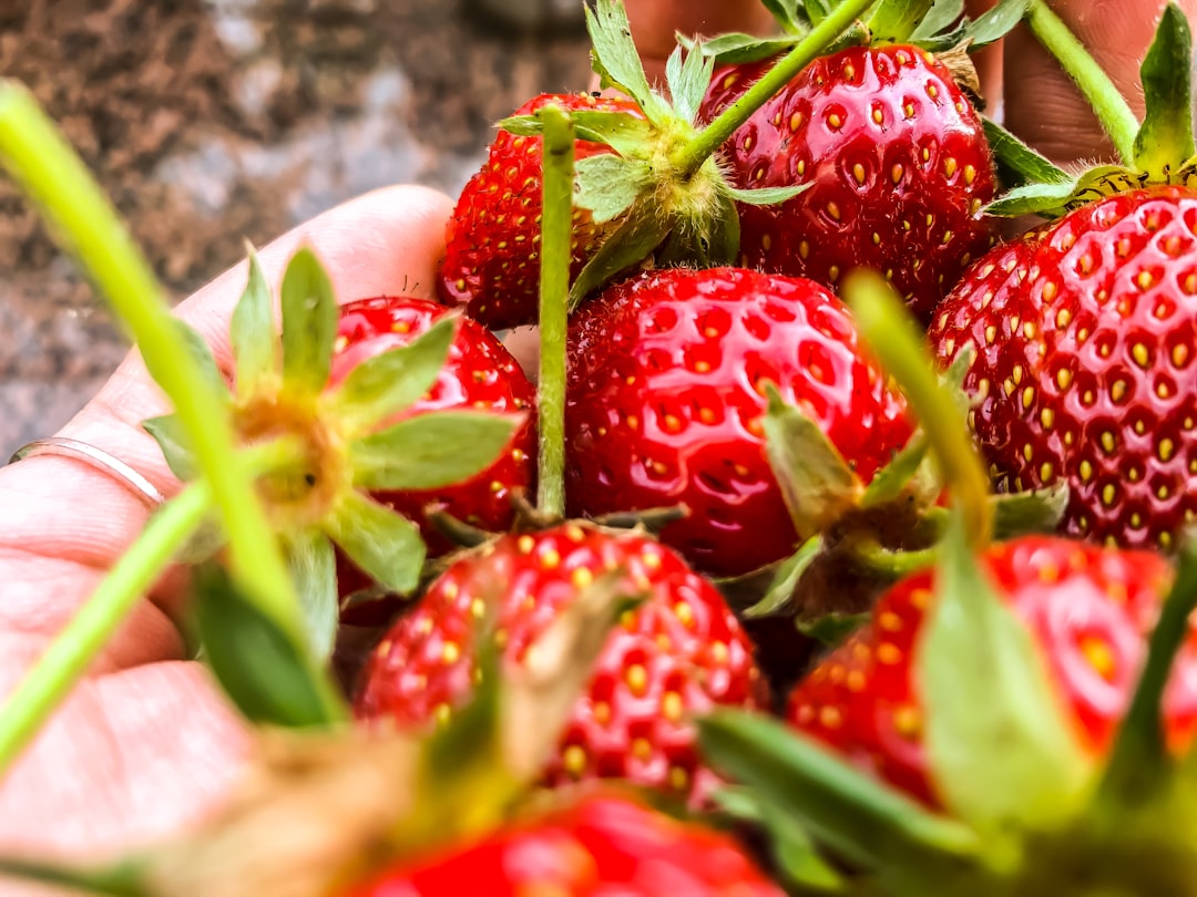 Can Tiny Gardens Truly Save the Planet?