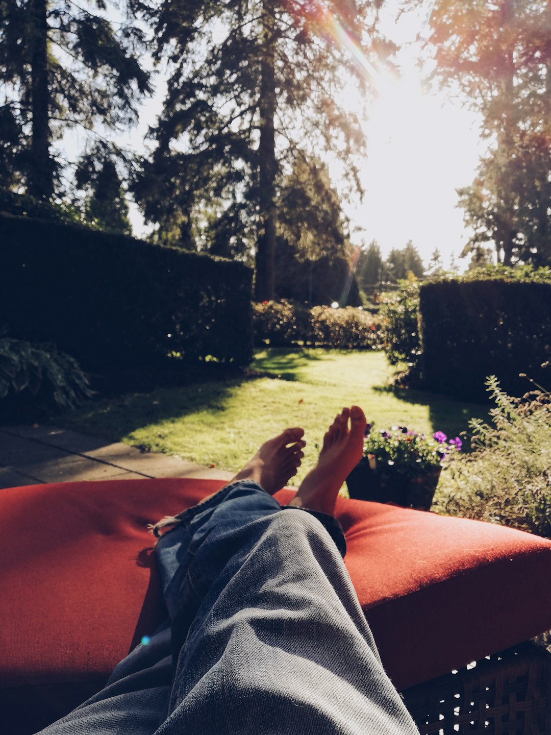 Why No Yard on Expensive Houses?!