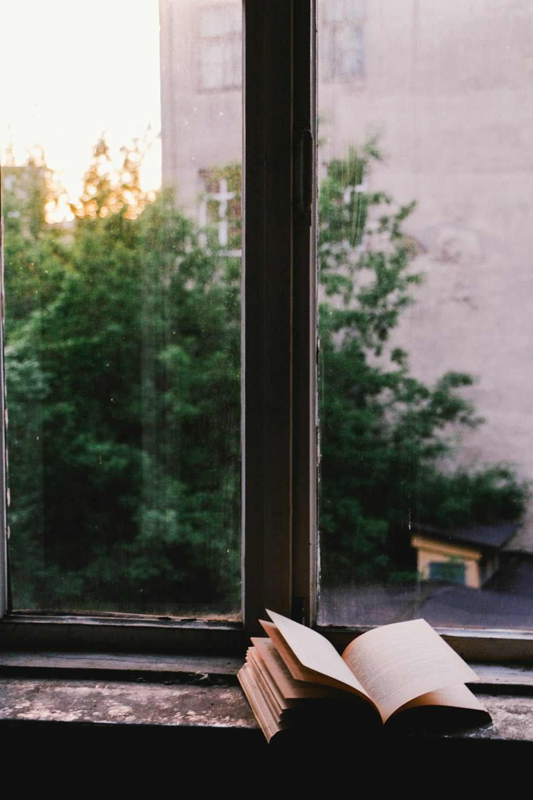 Single Life: My Top Three Priorities 🌟​