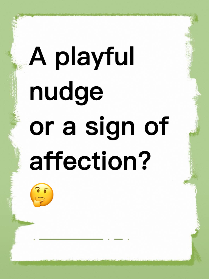 A playful nudge or a sign of affection? 🤔