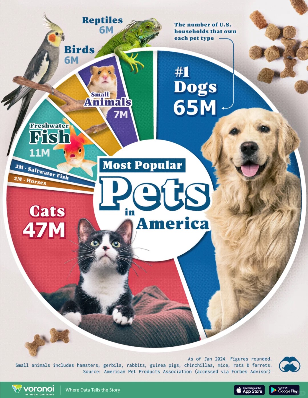 pets basically run America now