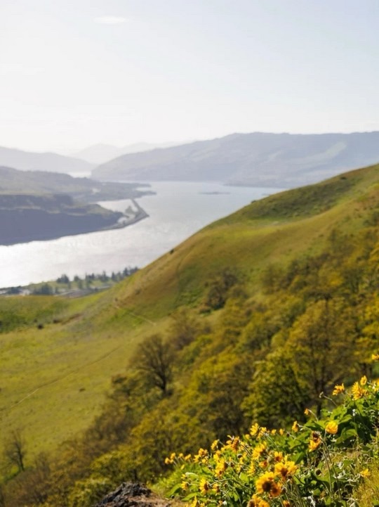 a 2.5h hike，I felt spring